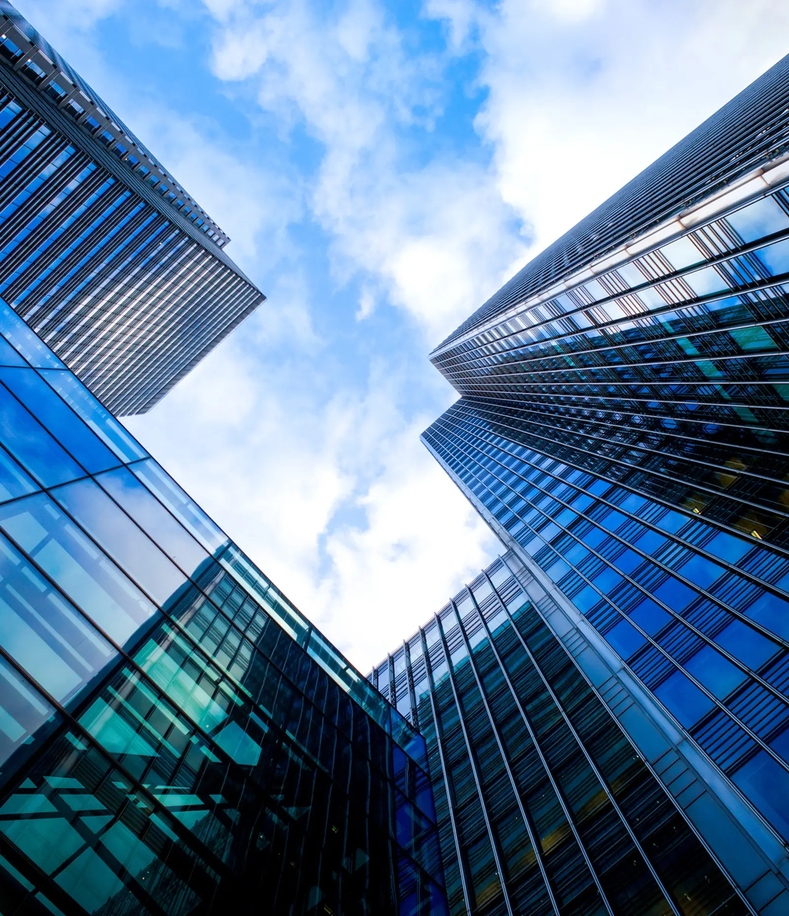 Company Overview-Betis Direct